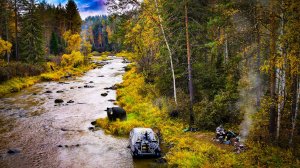 МЕДВЕДИ ПРИХОДЯТ И ЖРУТ РЫБУ В РУЧЬЕ!