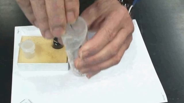 Drosophila Anesthetization смотреть онлайн