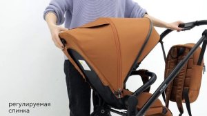 Самая лёгкая коляска 2 в 1 - RANT MOSS