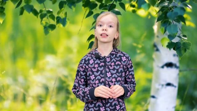 Что такое экология? смотреть онлайн