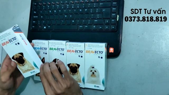 Trị ghẻ, ve, rận, bọ chét trên chó bằng Bravecto смотреть онлайн