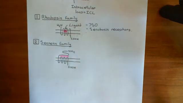 The Serotonin / 5-Hydroxytryptamine Receptors Part 2 смотреть онлайн