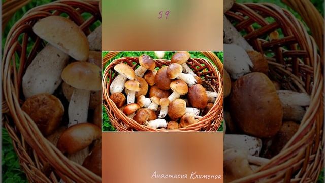 #59 #Сказка #Сказки на ночь. #Кракозяблики. Автор: Анастасия Клименок. @666Anastasia смотреть онлайн