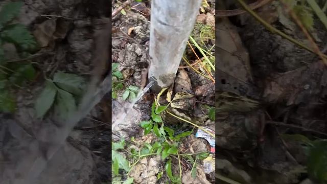 забор своими руками смотреть онлайн