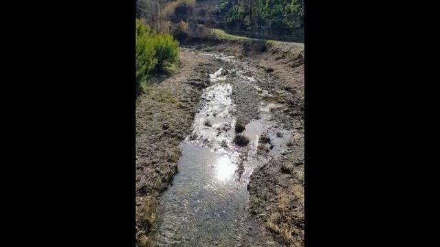 L'Antico Sentiero del Beodo di Bordighera. Inverno 2019 смотреть онлайн