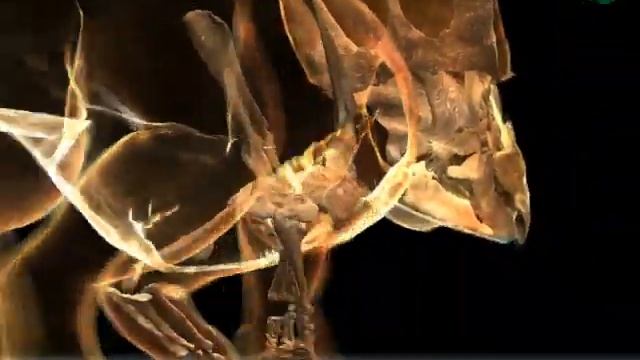 Vagaceratops Skull n Bones смотреть онлайн