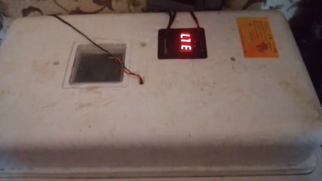 Инкубация бролера Кооб 500 Италия. Первое овоскопирование. 8 сутки. смотреть онлайн