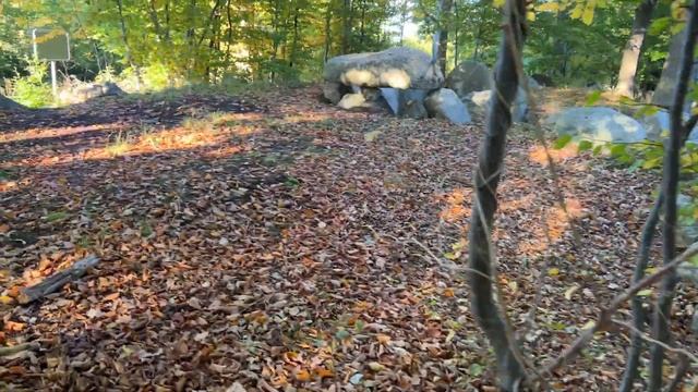 LANGBETT FLEHM Großsteingräber aus der Jungsteinzeit in Schleswig-Holstein смотреть онлайн