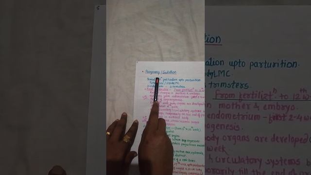 Gastrulation смотреть онлайн