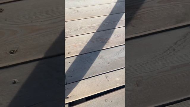 терраса к дому смотреть онлайн