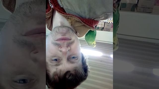 Алексей Радуга - Спели не ради известности (реалити шоу - чужой среди своих, свой среди чужих) смотреть онлайн