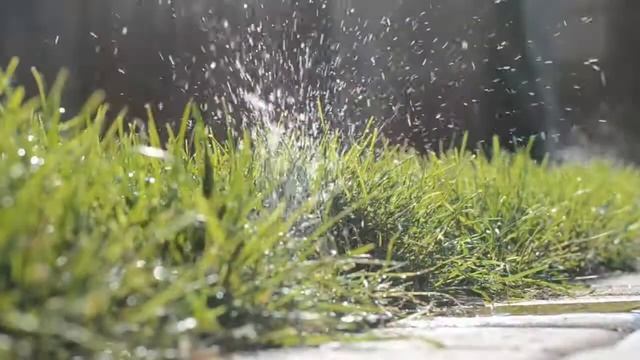 Flora Comfort beta смотреть онлайн