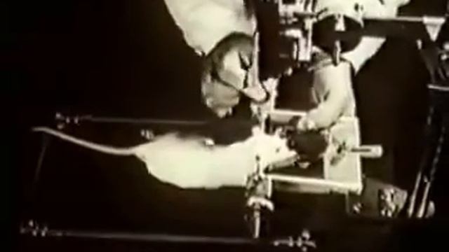 Электрофизиология ЦНС НаучФильм СССР Физиология