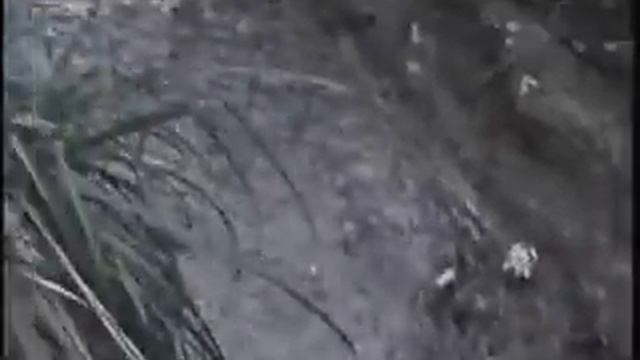 Blair Witch Grotte [HD] смотреть онлайн