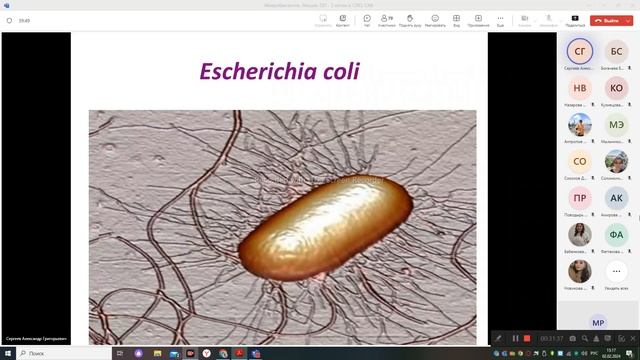 Энтеробактерии. Шигеллы. Эшерихии. Сальмонеллы.