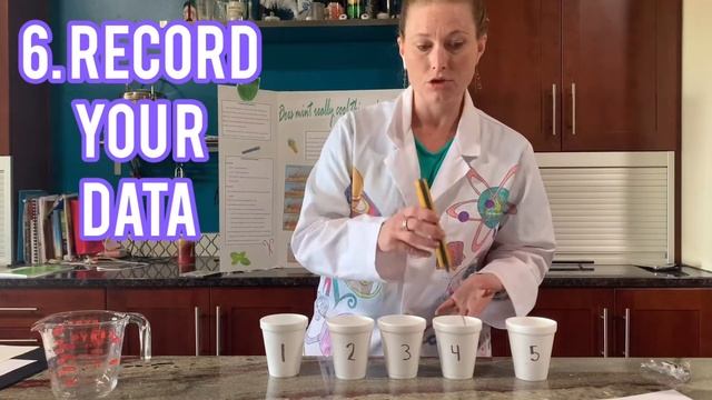 Example of a controlled experiment using the Scientific Method смотреть онлайн