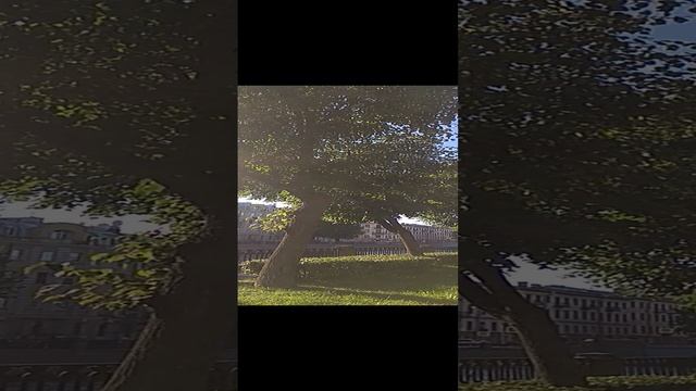 VID_20200816_175729 смотреть онлайн