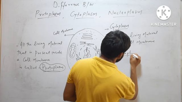 Difference Protopasm, Cytoplasm and Nucleoplasm смотреть онлайн