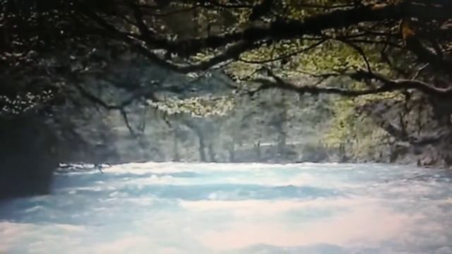 Авторская песня/Песня про черемуху/Любовь, как цвет черемухи смотреть онлайн