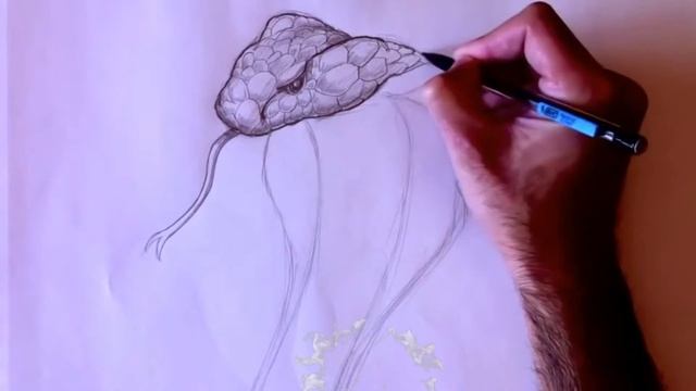 King Cobra Facts! смотреть онлайн