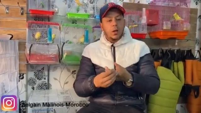 فيديو توضيحي لأحسن دواء ديال الحناش اضافة إلى وجبة متكاملة للكلاب смотреть онлайн