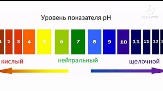 Микроэлементларнинг усимликка тасири ва роли смотреть онлайн