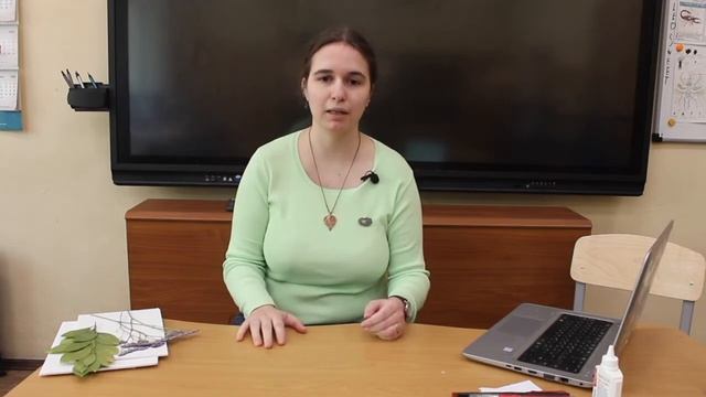 Гербарное дело 1 смотреть онлайн