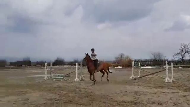 Назад към редактиранеBeauty jump_3 смотреть онлайн