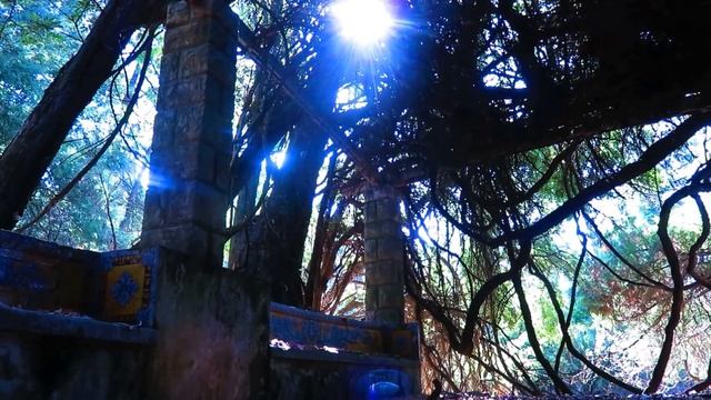 Vangelis 1492 - Eternity смотреть онлайн