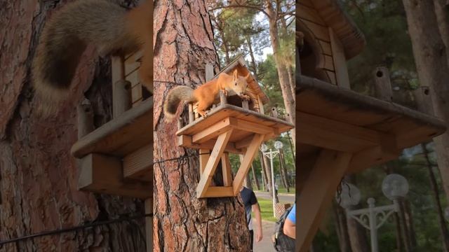 #геленджик смотреть онлайн