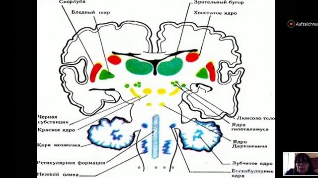 Ekstrapiramid sistem (1) смотреть онлайн
