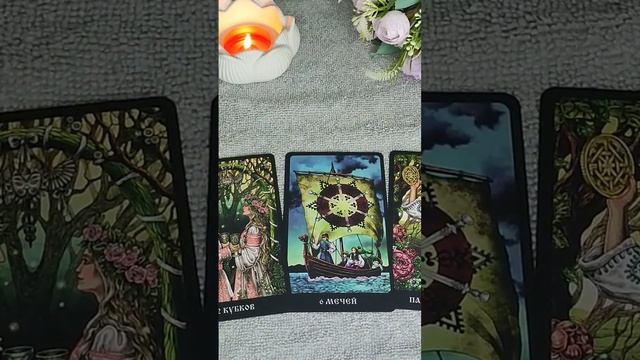 КАРТА ДНЯ 24/11 #таросегодня смотреть онлайн