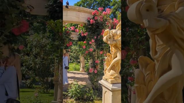 сквер Каллифея #геленджик смотреть онлайн