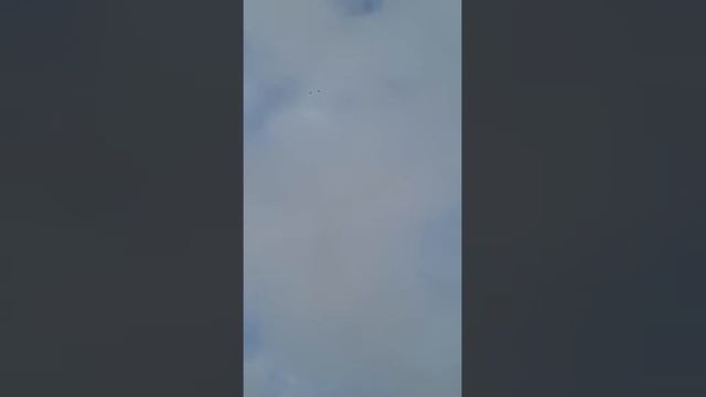 голуби.Сергея.с.Елань-Колено.Воронежской.обл. смотреть онлайн