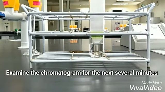 Experiment 3 - Pigment Composition of Chlorophyll смотреть онлайн