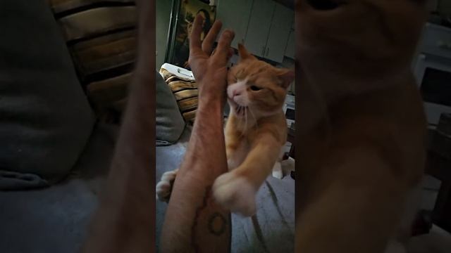 Оператору удалось заснять последние секунды перед своей смертью