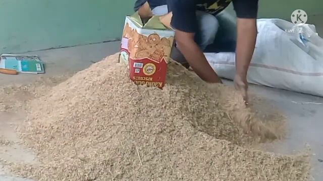 Cara membuat sekam bakar mudah dan praktis dengan hasil super смотреть онлайн