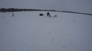 КУЧА РЫБЫ ЗА 3 ЧАСА С ОДНОЙ ЛУНКИ 🐬БЕШЕНЫЙ КЛЁВ КРУПНОЙ СОРОГИ на бескивковую удочку🎣 ЭТО СИБИРЬ!