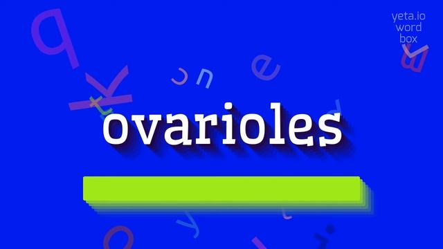 HOW TO SAY OVARIOLES? #ovarioles смотреть онлайн