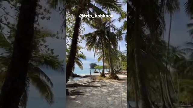 Райский остров в Тайланде Ко Куд #kohkood #тайланд #thailand #рыбалка #shorts смотреть онлайн