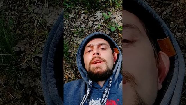 Energia Drzew смотреть онлайн