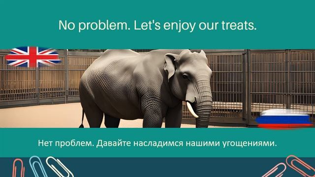 В зоопарке, Простой диалог, разговор на английском для начинающих #1 смотреть онлайн