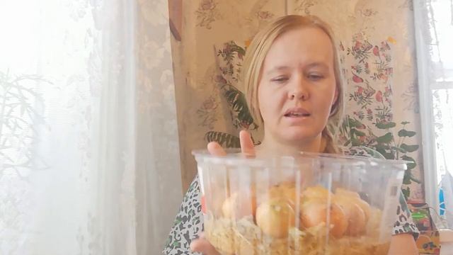 Новые способы посадки лука на зелёное перо!!! смотреть онлайн