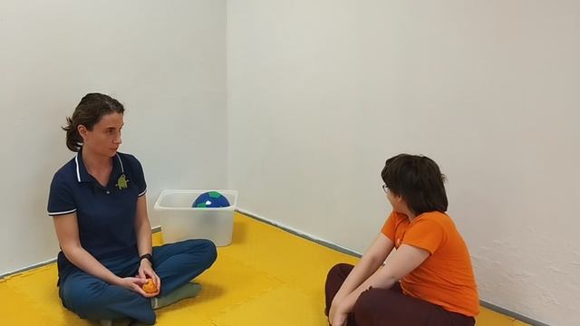 Игры с мячом для развития мелкой и крупной моторики. Катаем мяч по полу