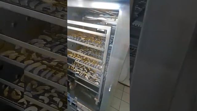 Uscator-deshidrator pentru legume si fructe, 50 Kg/ sarja- Produsul dupa 80 de minute (2) смотреть онлайн