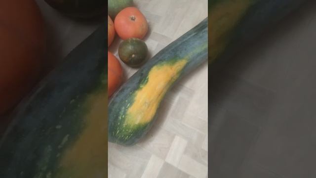 Странный сладкий кабачок