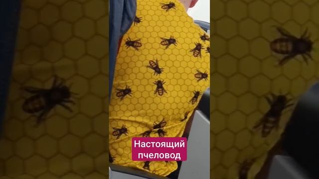 Настоящий пчеловод смотреть онлайн
