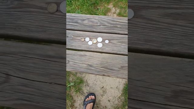 Garrett Apex plaża nad jeziorem wykopki #1 смотреть онлайн