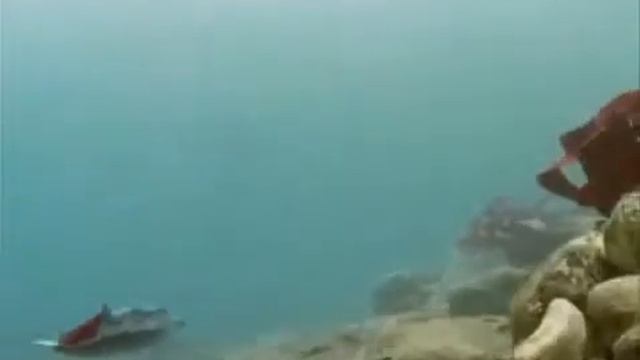 the future is wild "shallow sea" - 100 millions years into future смотреть онлайн