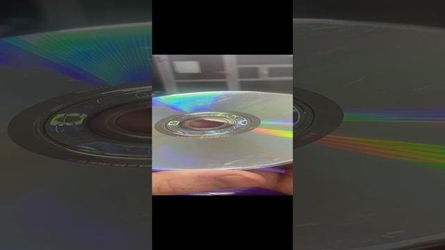 Кот смотреть онлайн